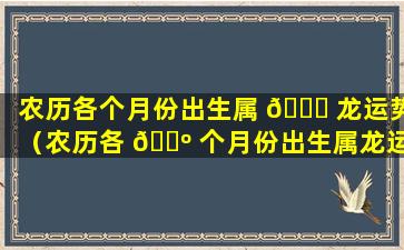 农历各个月份出生属 🐅 龙运势（农历各 🐺 个月份出生属龙运势及运程）